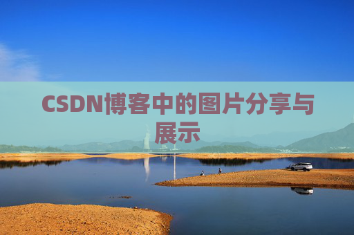CSDN博客中的图片分享与展示